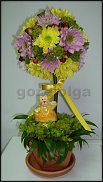 www.floristic.ru - .  