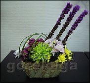 www.floristic.ru - .  