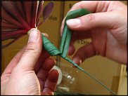 www.floristic.ru - Флористика. Суккуле́нты (Succulentus)