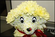 www.floristic.ru - .   ....
