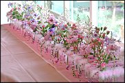 www.floristic.ru - .  