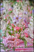 www.floristic.ru - .  