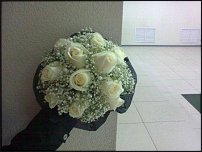 www.floristic.ru - .  .