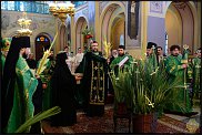 www.floristic.ru - .  