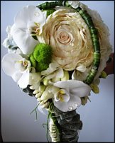 www.floristic.ru - . !!!!!