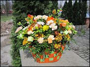 www.floristic.ru - . ,  .