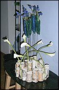 www.floristic.ru - .      