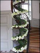 www.floristic.ru - . Hippeástrum - 