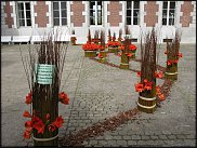 www.floristic.ru - . Hippeástrum - 