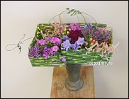 www.floristic.ru - . -