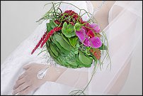 www.floristic.ru - .     .