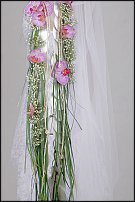 www.floristic.ru - .     .