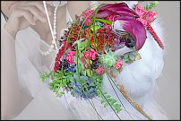 www.floristic.ru - .     .