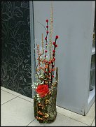 www.floristic.ru - .    !!!