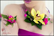 www.floristic.ru - .    