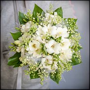 www.floristic.ru - .   (CONVALLARIA)
