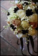 www.floristic.ru - .   (CONVALLARIA)