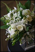 www.floristic.ru - .   (CONVALLARIA)