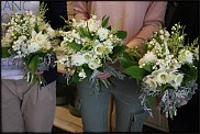 www.floristic.ru - .   (CONVALLARIA)