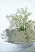 www.floristic.ru - .   (CONVALLARIA)