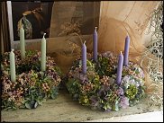 www.floristic.ru - .   