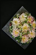 www.floristic.ru - . -