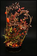 www.floristic.ru - .     