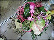 www.floristic.ru - .  