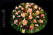 www.floristic.ru - .     