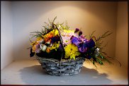 www.floristic.ru - .   