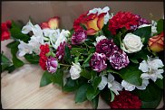 www.floristic.ru - .   "   "