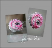 www.floristic.ru - .     -   !