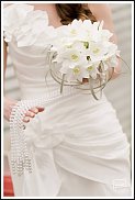 www.floristic.ru - . (Eucharis) -  .