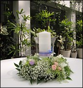 www.floristic.ru - .  .