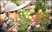 www.floristic.ru - .  ,     Chelsea Flower Show