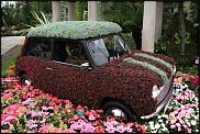 www.floristic.ru - .  ,     Chelsea Flower Show