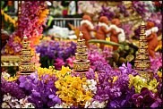 www.floristic.ru - .  ,     Chelsea Flower Show