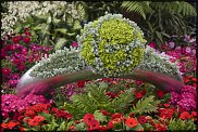 www.floristic.ru - .  ,     Chelsea Flower Show