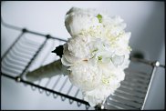 www.floristic.ru - .   (CONVALLARIA)