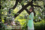 www.floristic.ru - .  