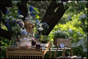 www.floristic.ru - Флористика. Сладкий стол