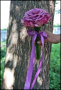 www.floristic.ru - . 