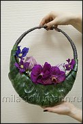 www.floristic.ru - .  . Mila Shumann.