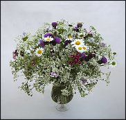 www.floristic.ru - .  