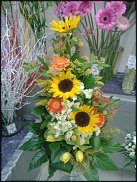 www.floristic.ru - .  