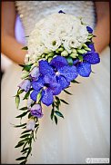 www.floristic.ru - .    