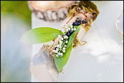 www.floristic.ru - .  .
