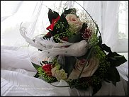 www.floristic.ru - .  - "    -2013"