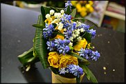 www.floristic.ru - .  .