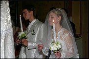 www.floristic.ru - . !!!!!